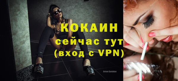 дживик Надым
