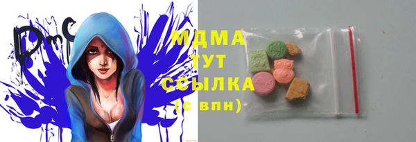 дживик Надым