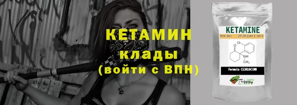 дживик Надым