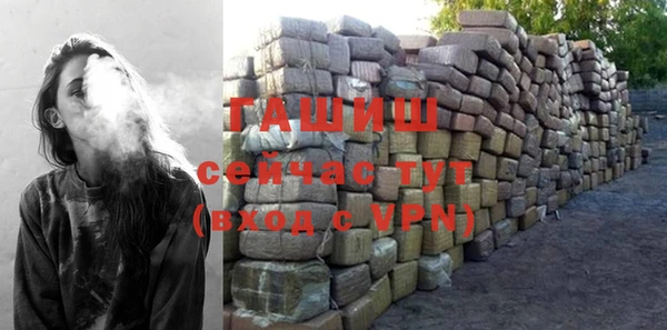 хмурый Почеп